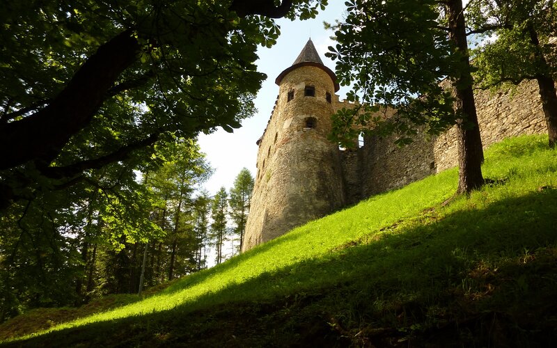 Castle tower in a forest