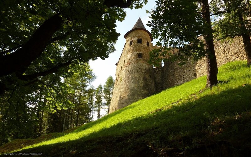 Castle tower in a forest