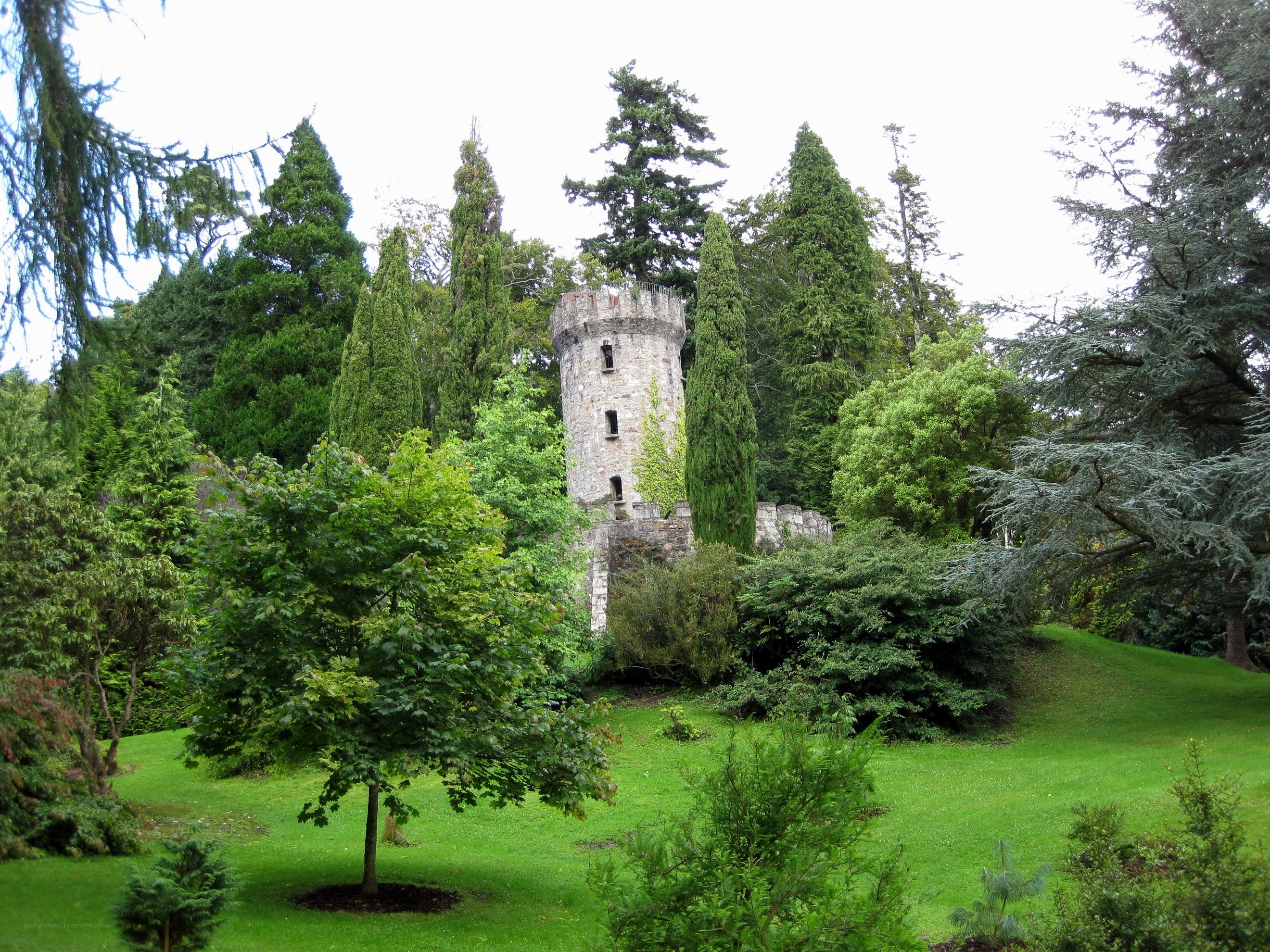 Castle tower in a lush garden