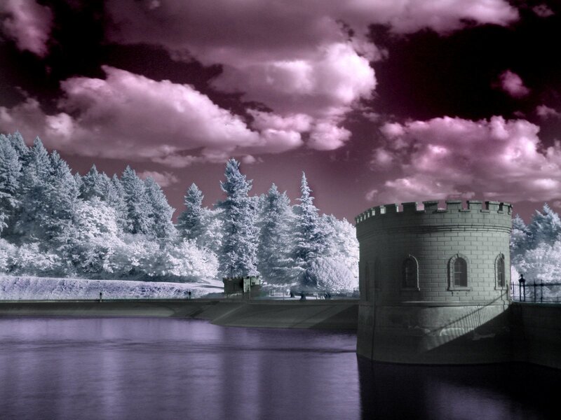 Castle Tower in Winter — Purple