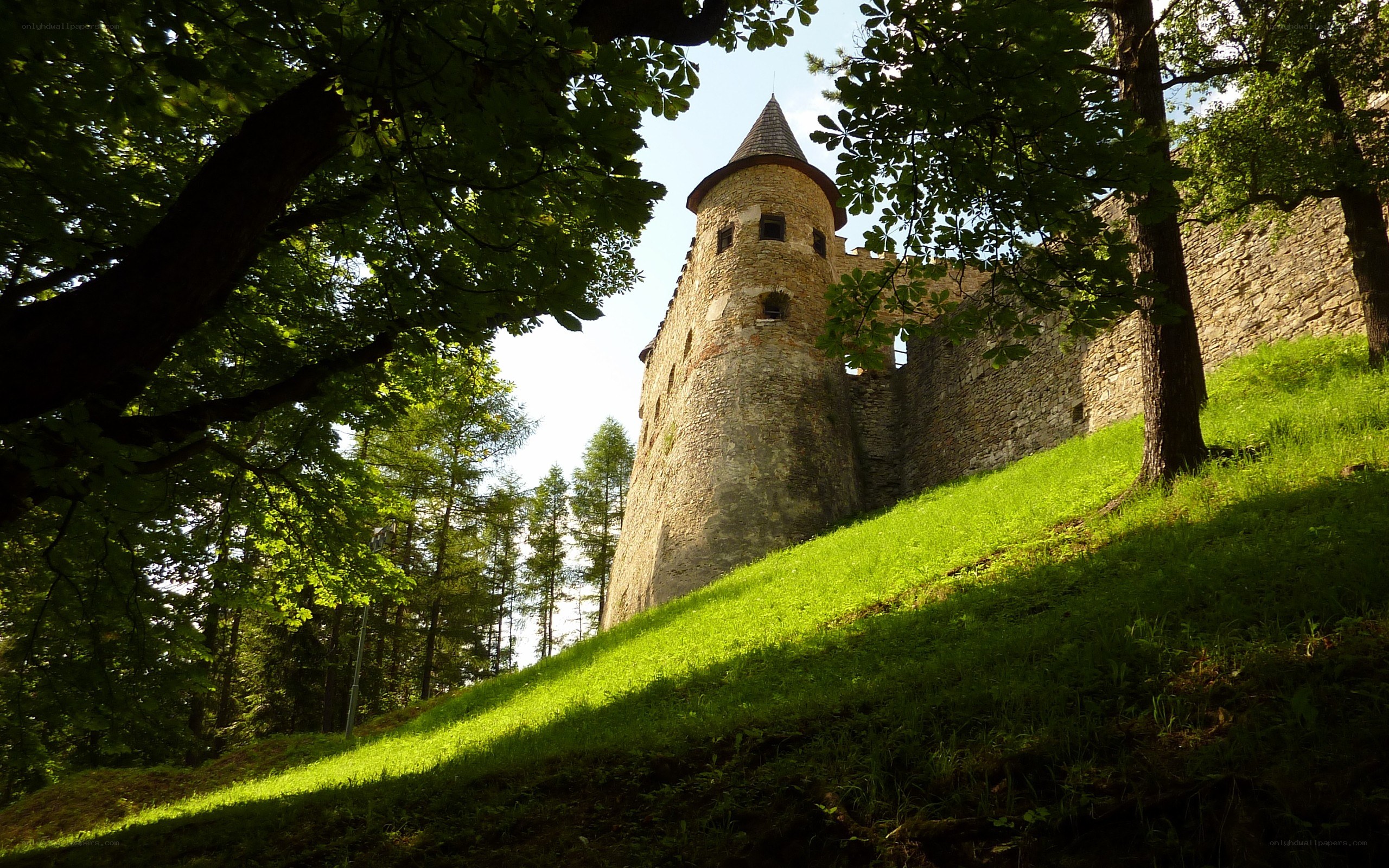 Castle tower on a grassy hill