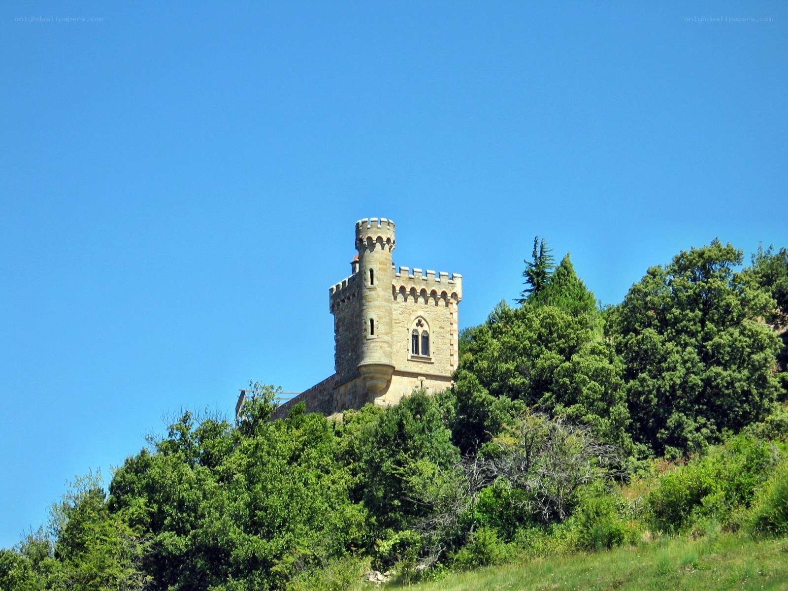 castle tower on a hill