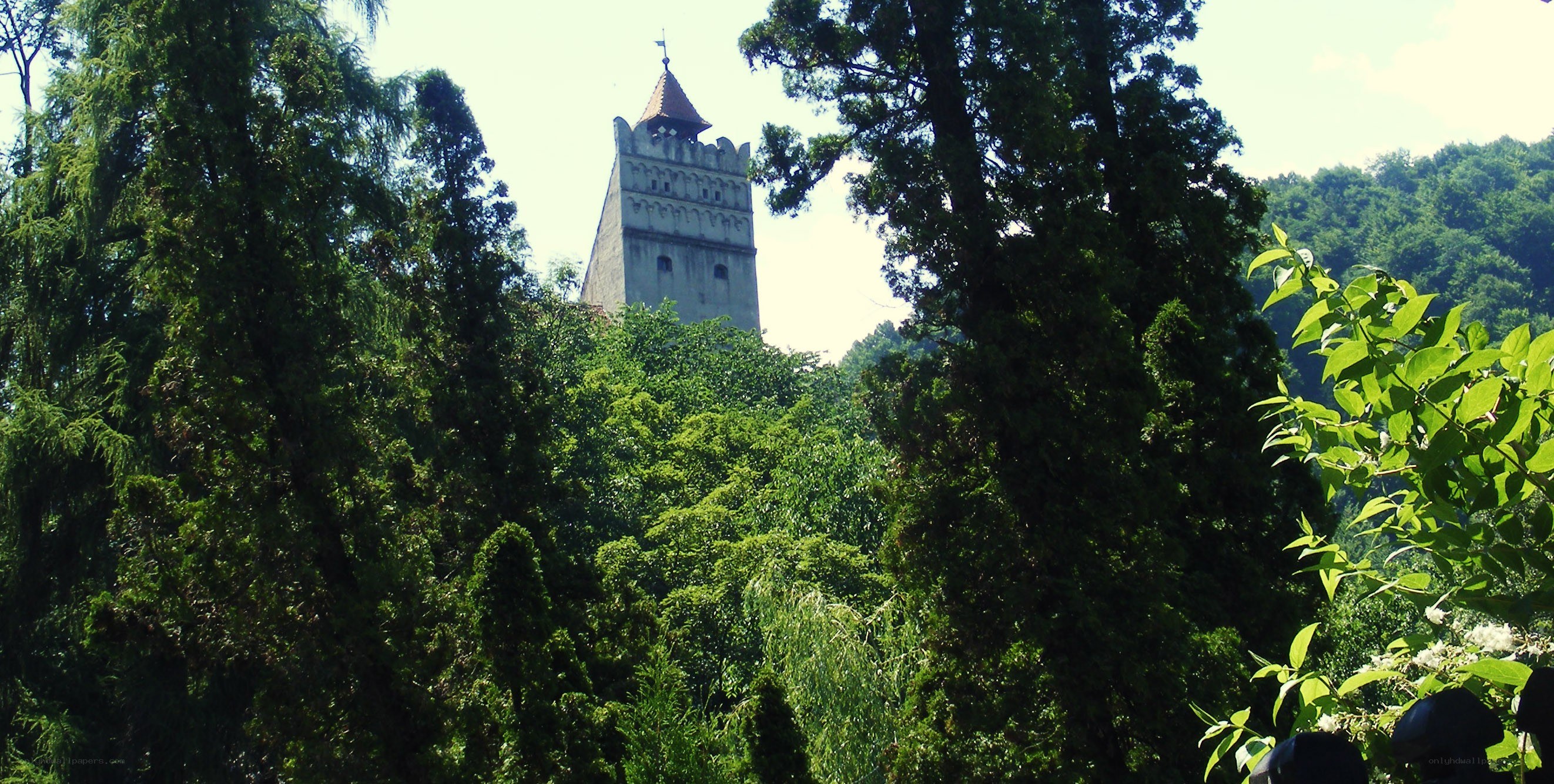 castle tower through trees