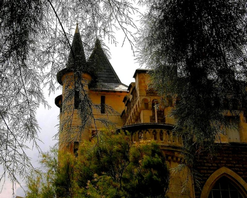 castle tower through trees