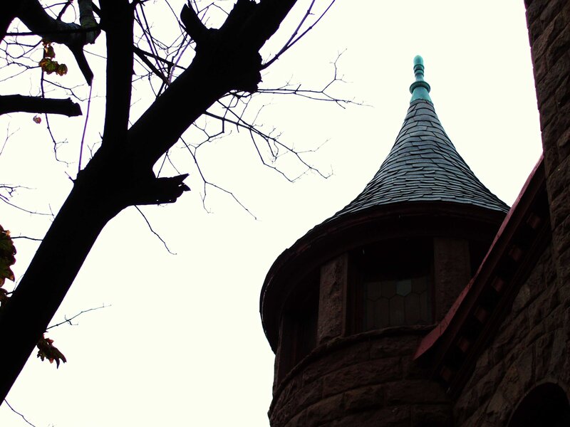 castle tower with tree silhouette