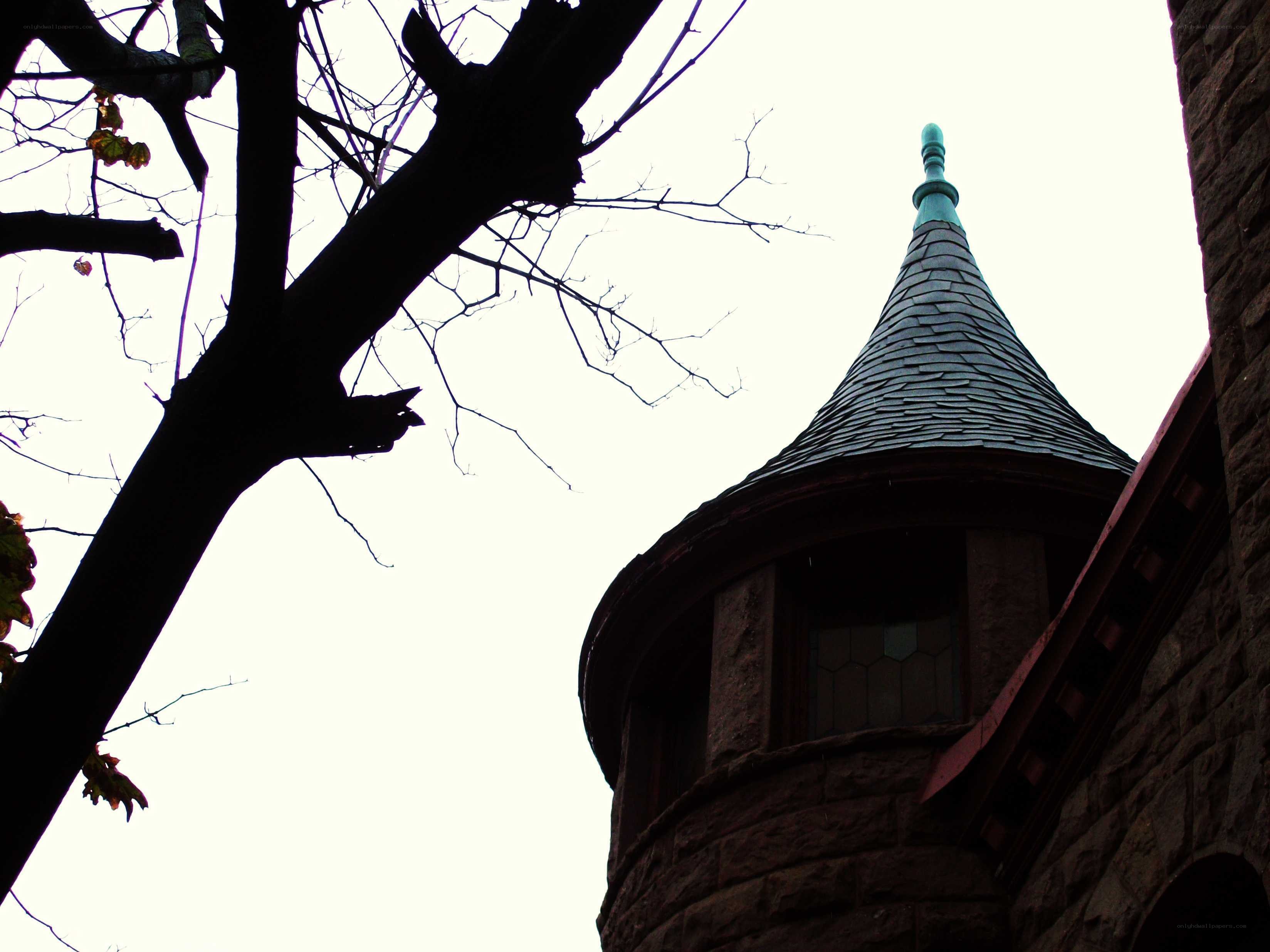 castle tower with tree silhouette