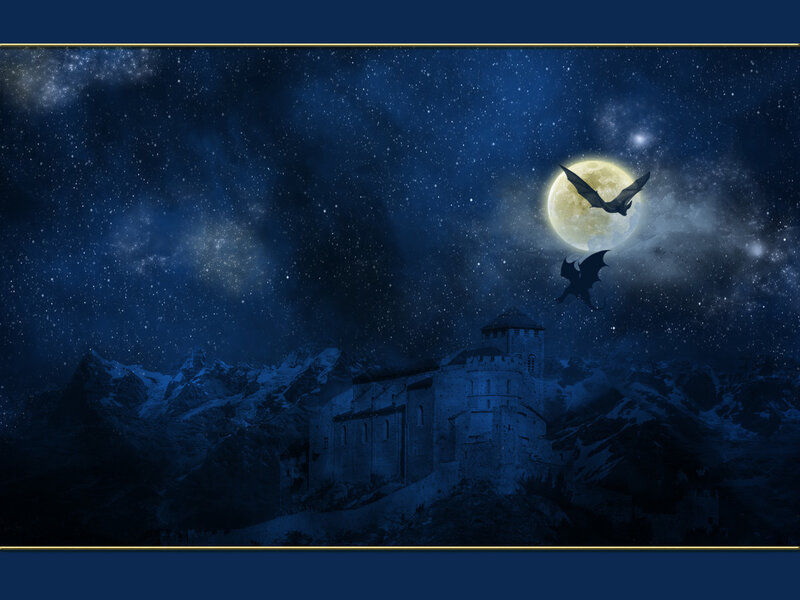 Castle under a moonlit sky