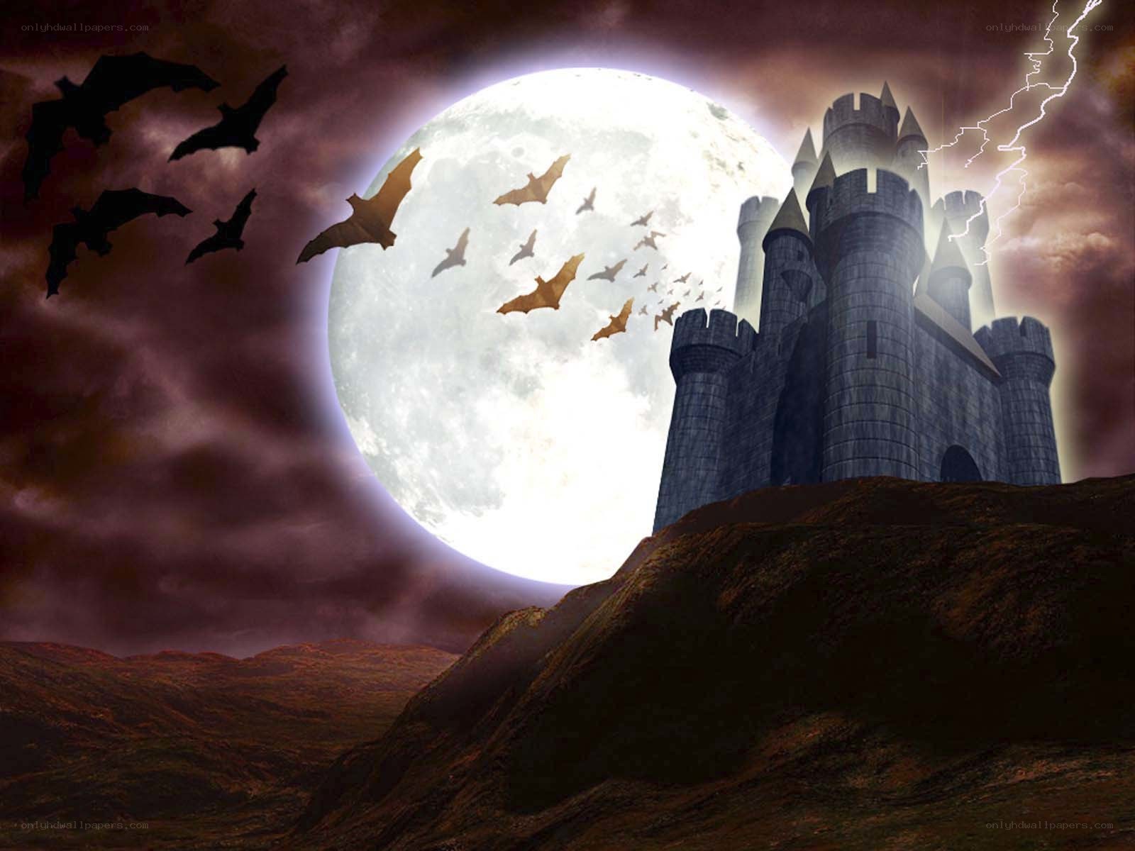 Castle under full moon