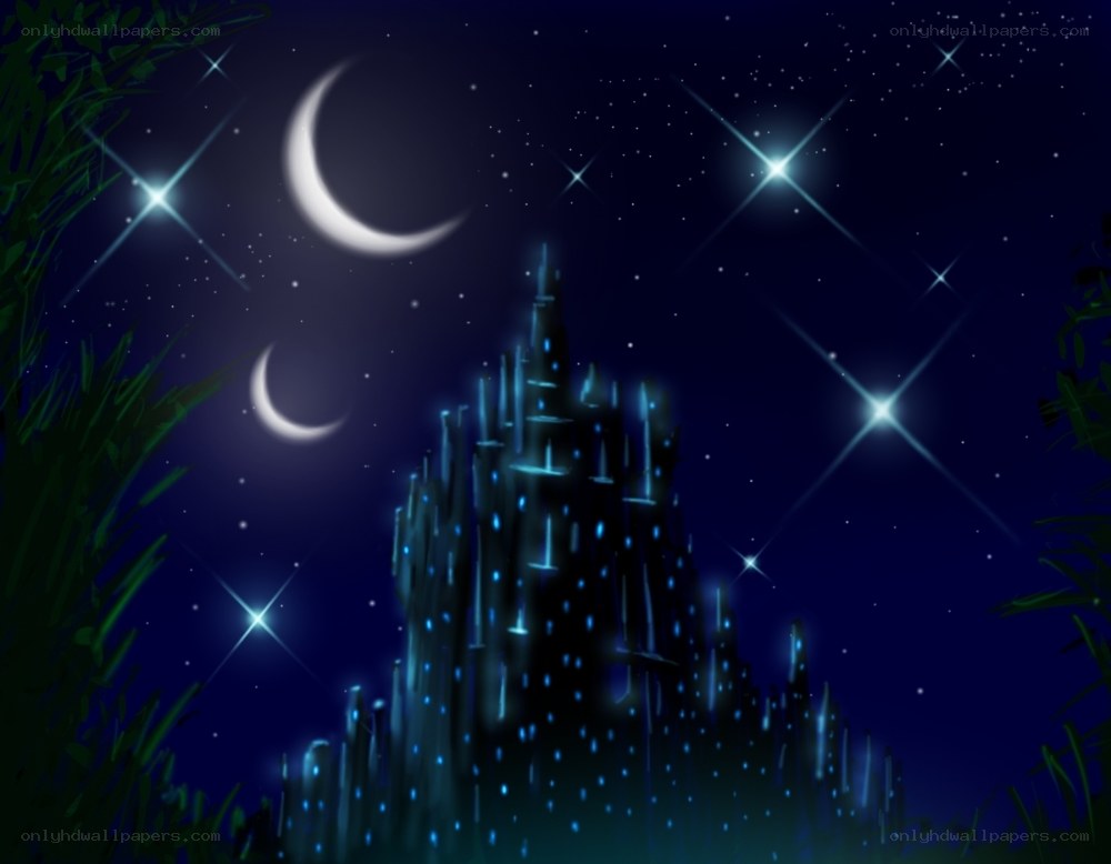 castle under starry night sky