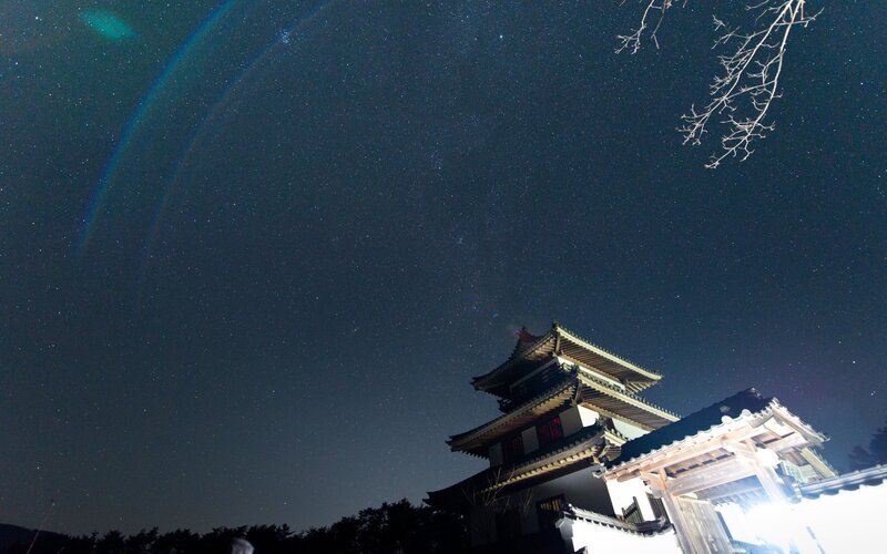 Castle under starry night sky