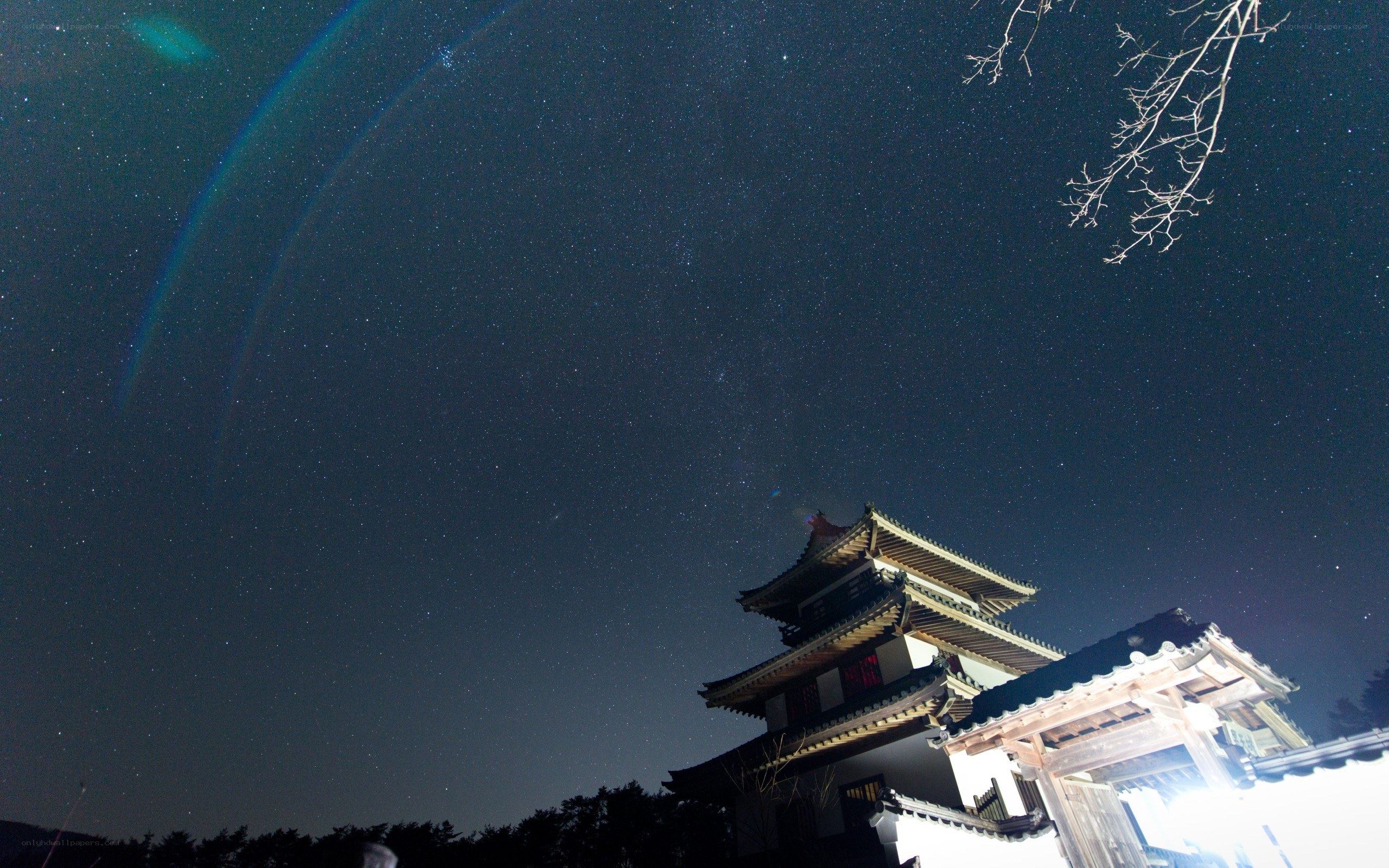Castle under starry night sky