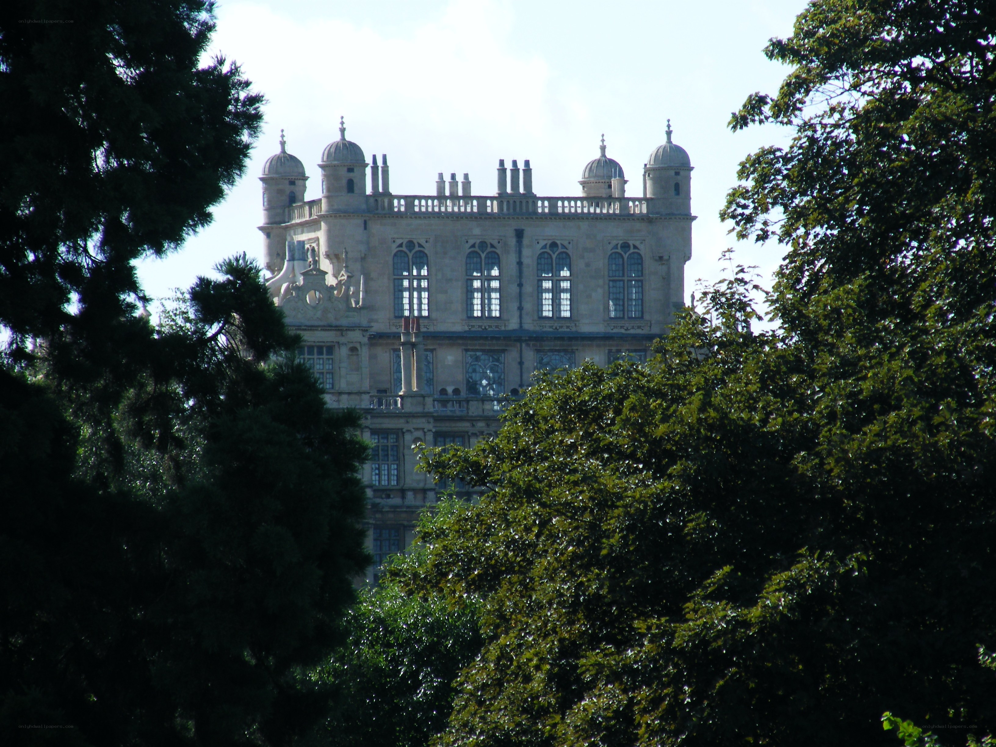 castle viewed through trees