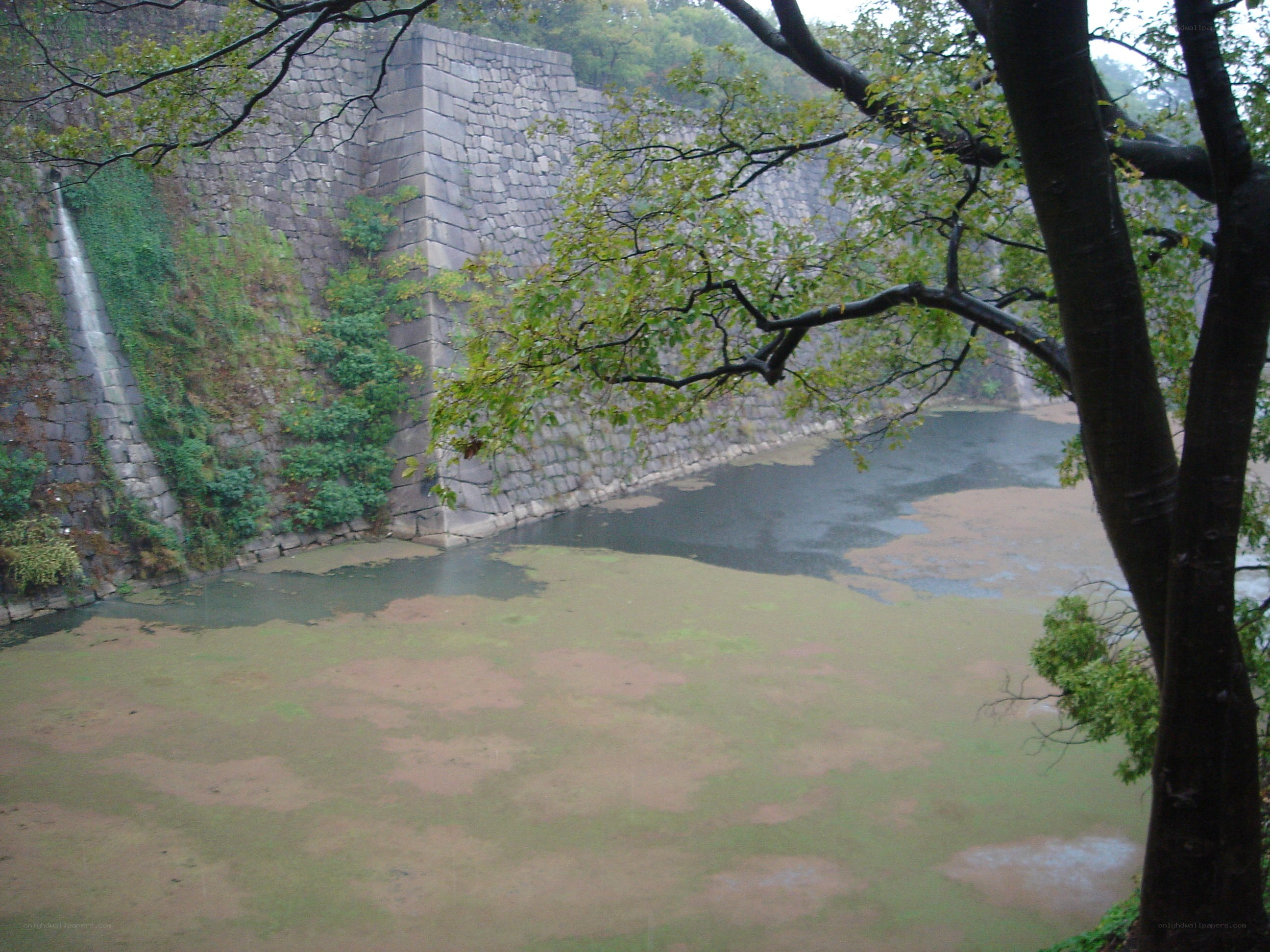 castle wall and moat in rain