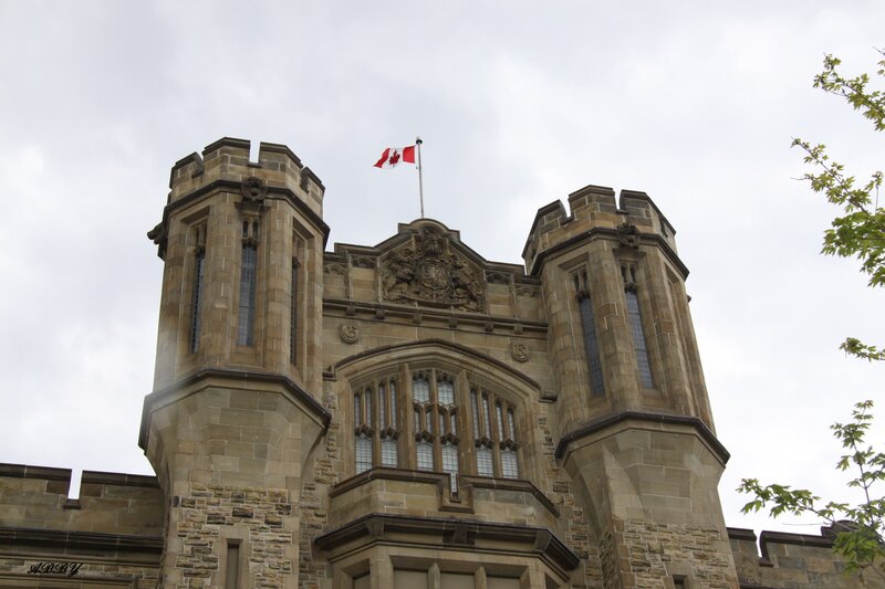 Castle with Canadian Flag — Gray