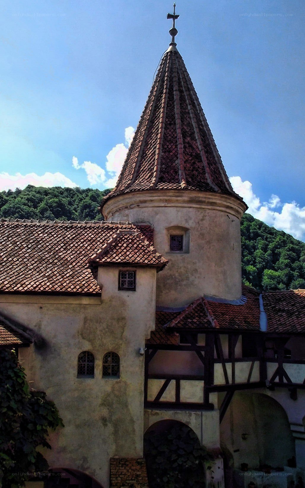 castle with conical roof