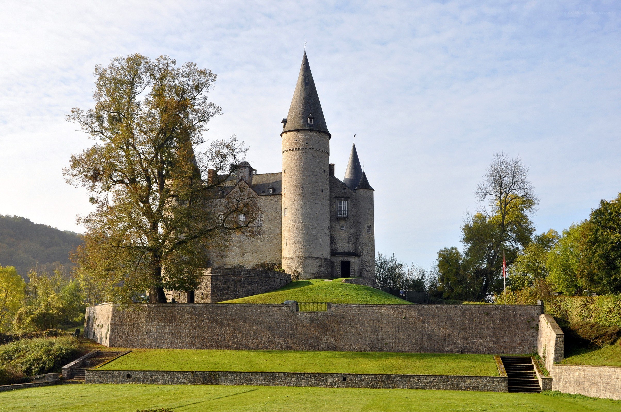 Castle with conical towers