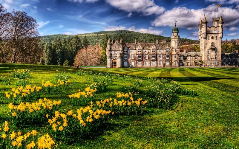 Castle with daffodils in spring