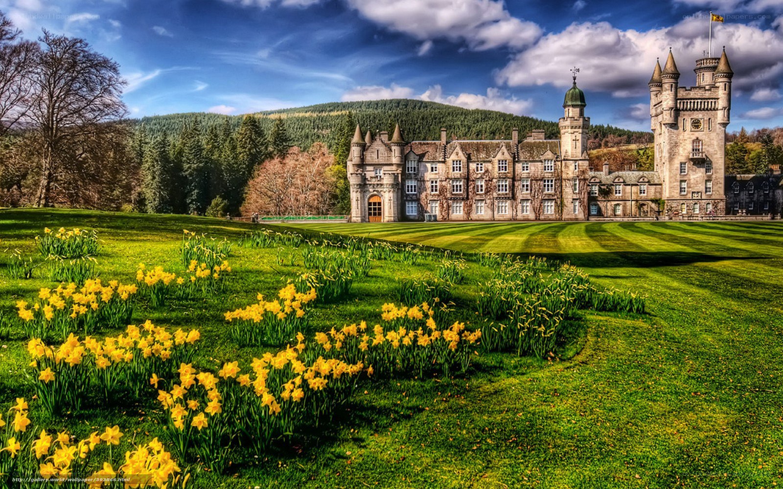 Castle with daffodils in spring