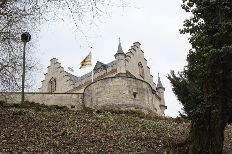 castle with flag on hill