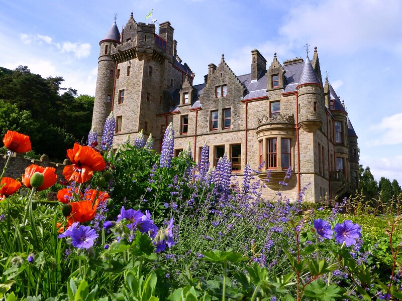 Castle with Flowers — Purple