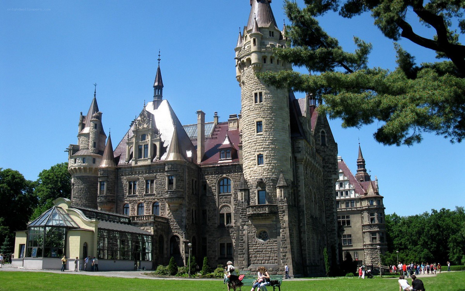 castle with green lawn
