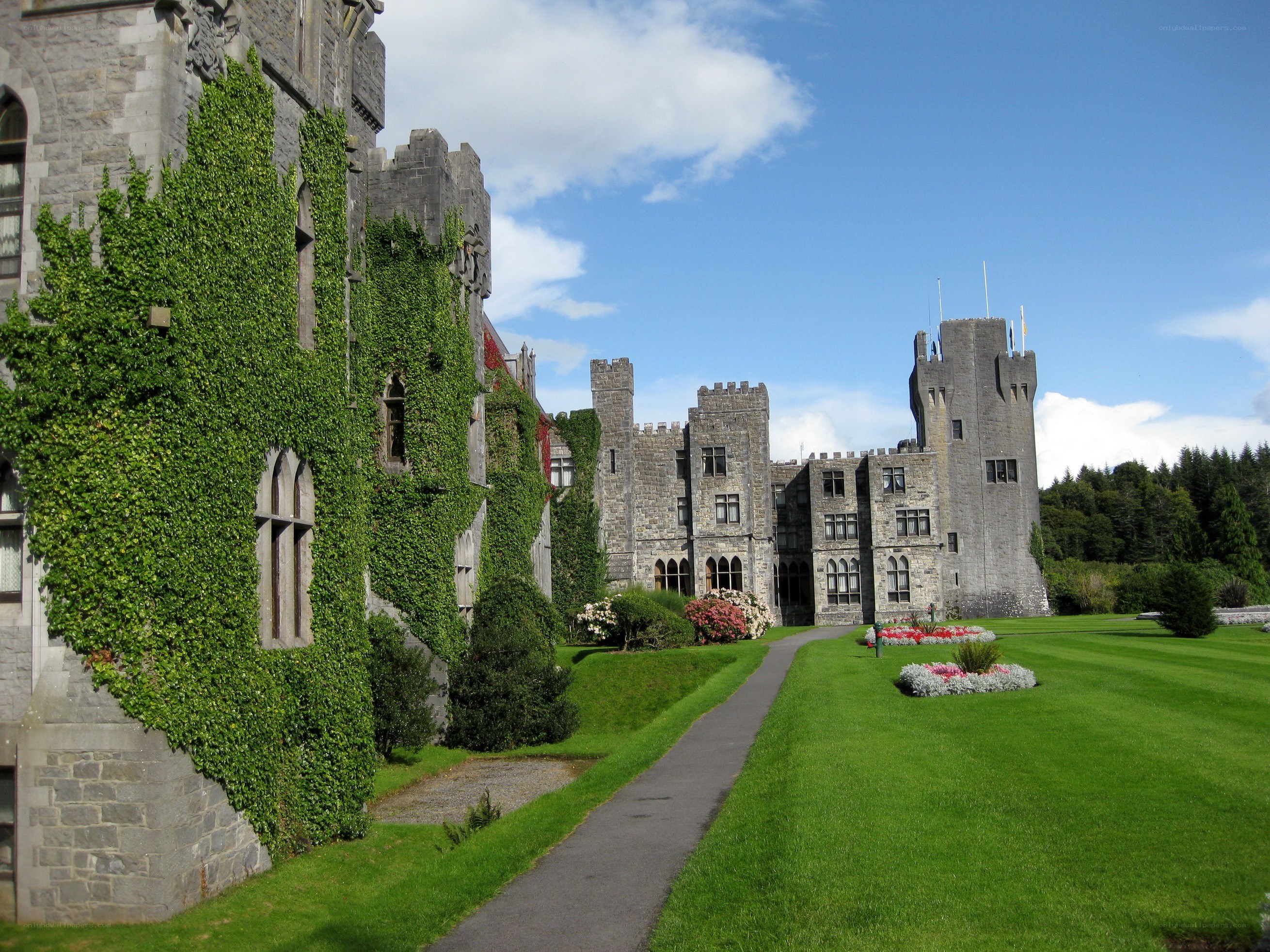Castle with ivy-covered walls