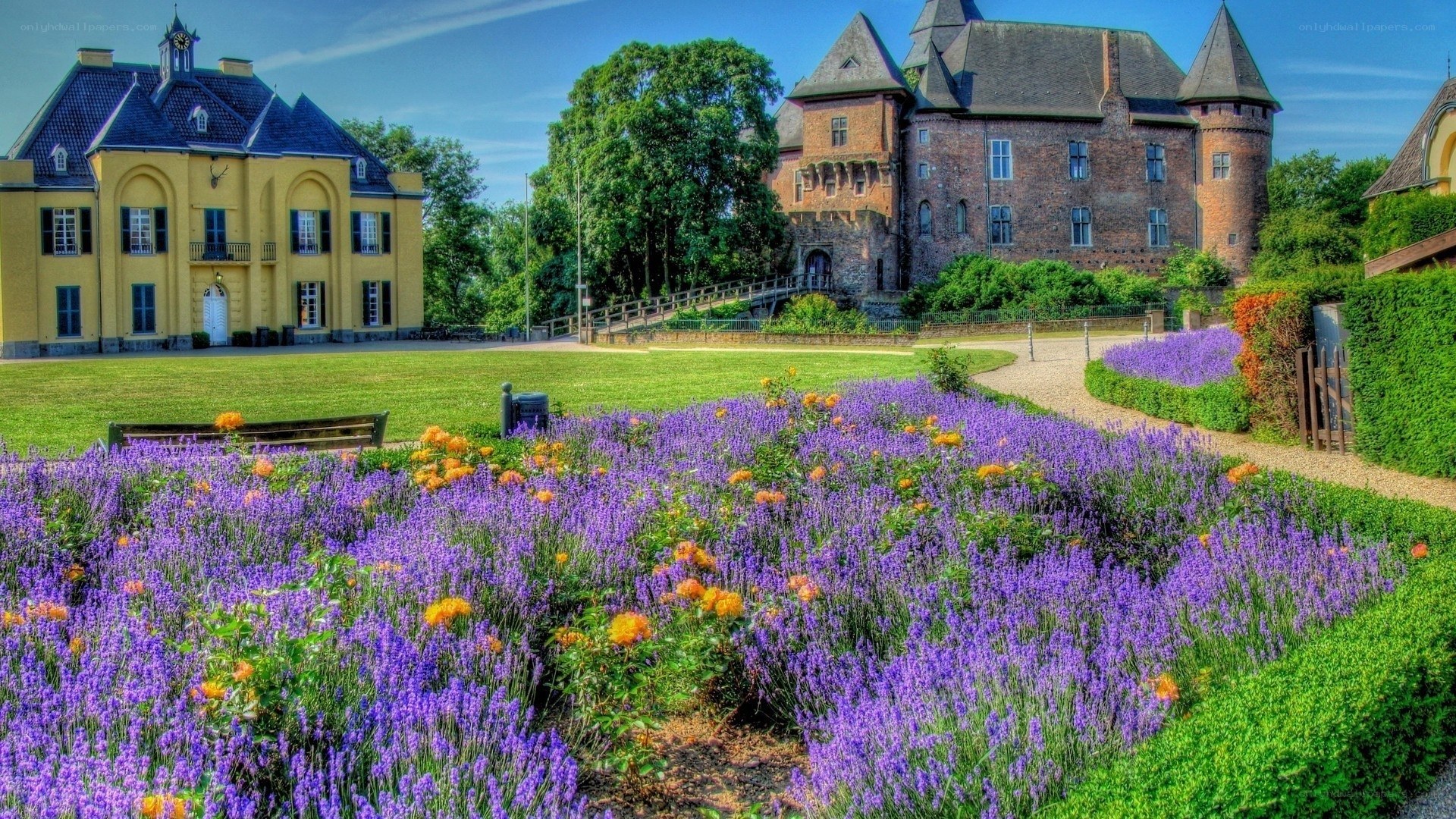 Castle with lavender garden