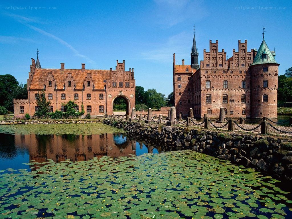 castle with lily pads