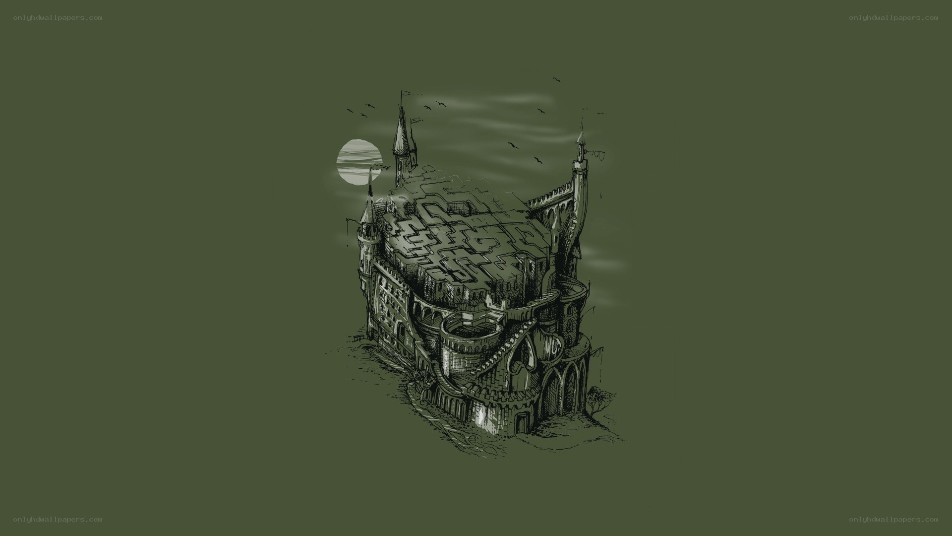 castle with maze roof