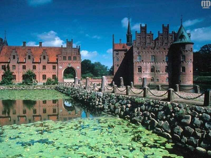 castle with moat and lily pads