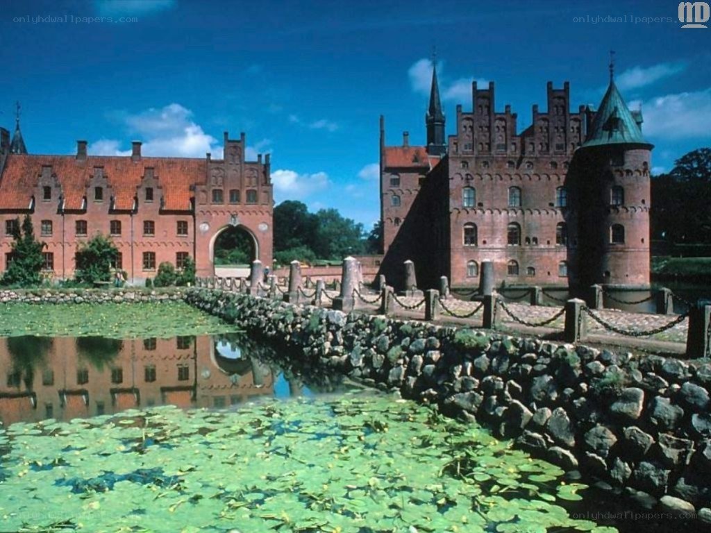 castle with moat and lily pads