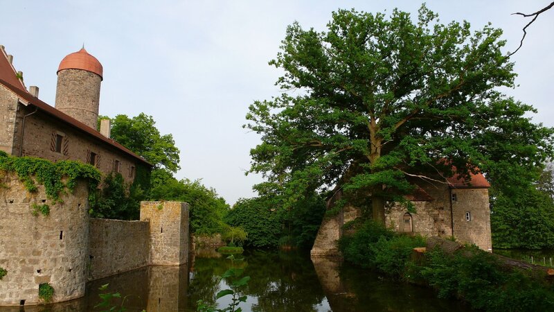 castle with moat and tree