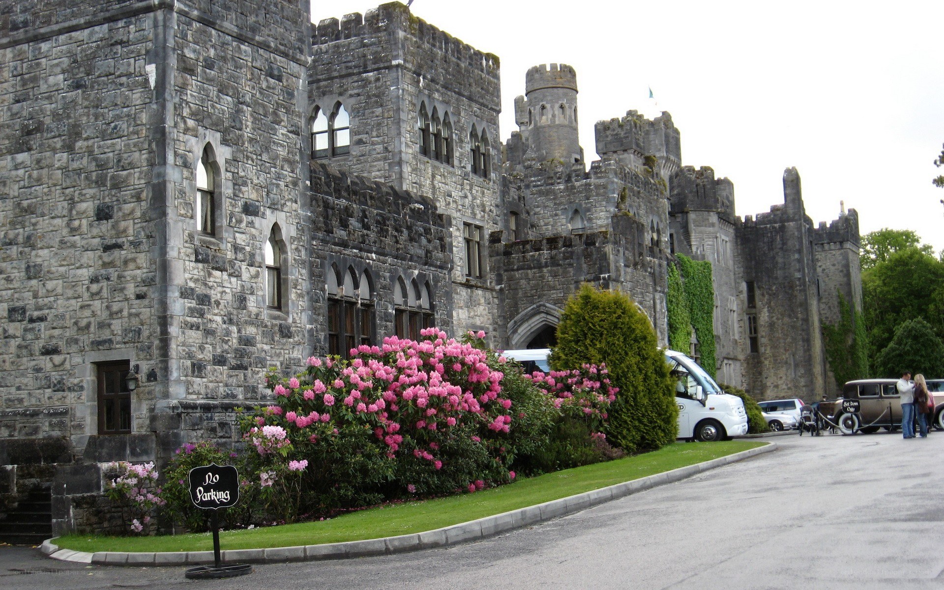 castle with pink flowers