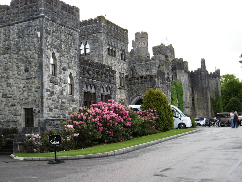 Castle with pink flowers