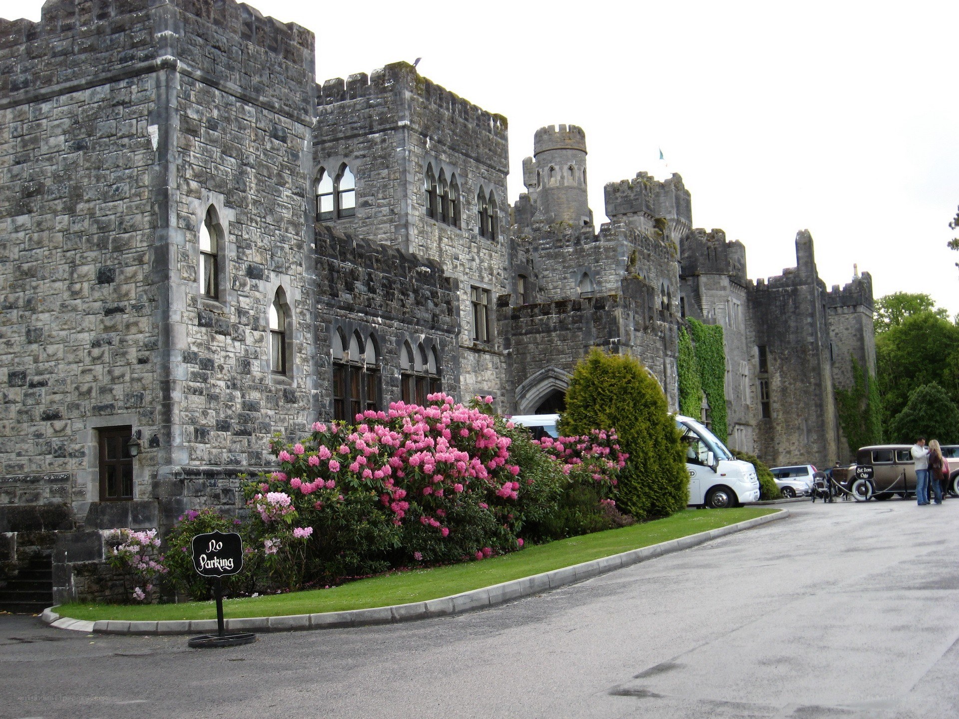 Castle with pink flowers