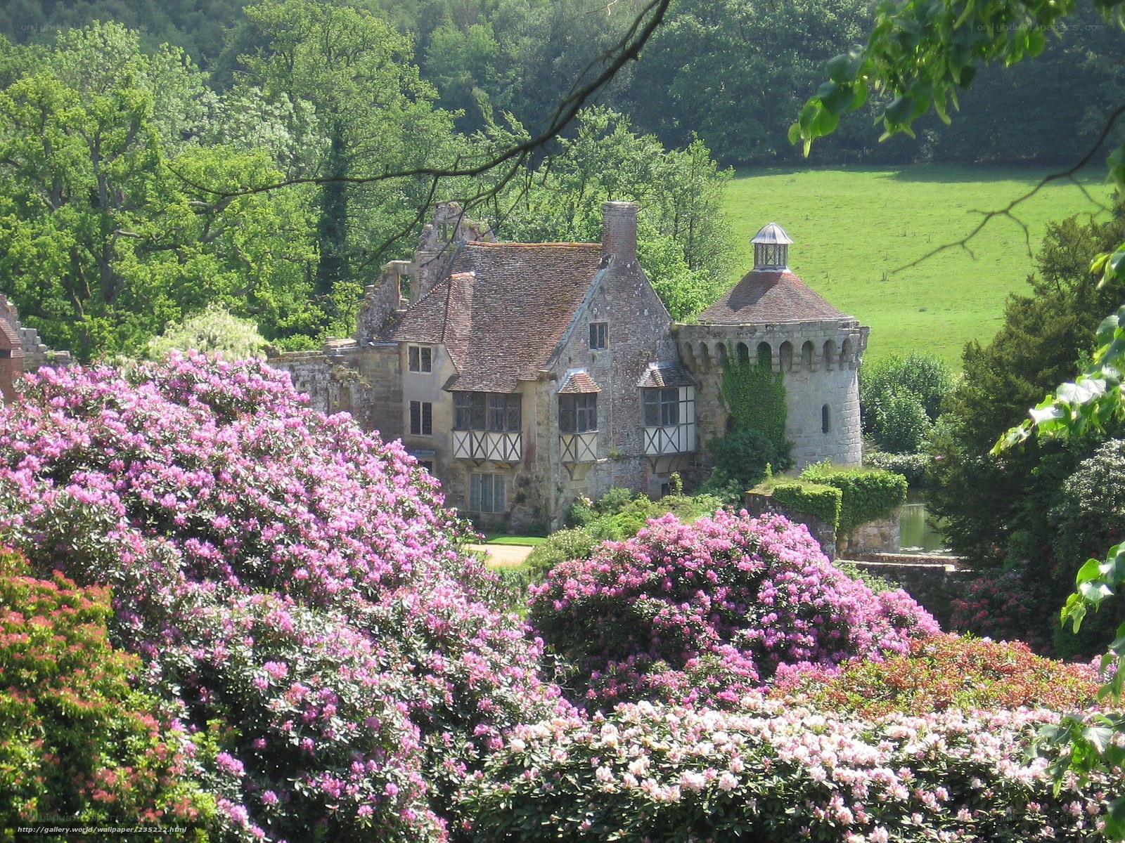 Castle with pink flowers