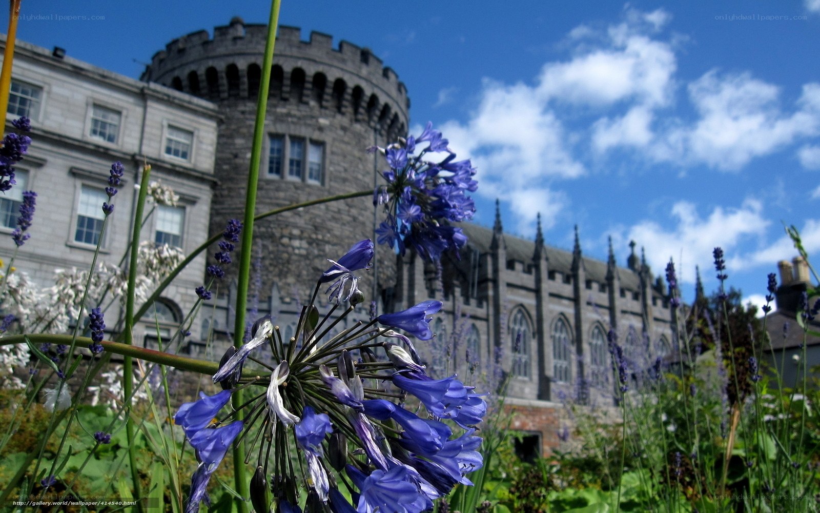 Castle with purple flowers