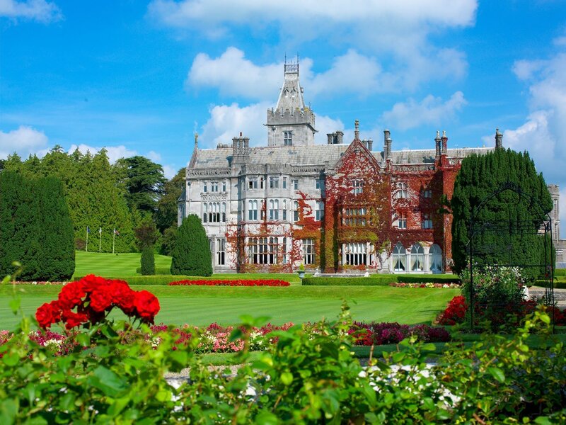 Castle with Red Flowers