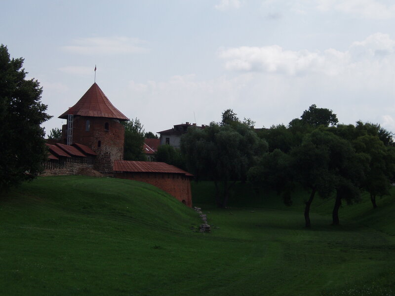 castle with red-roofed tower