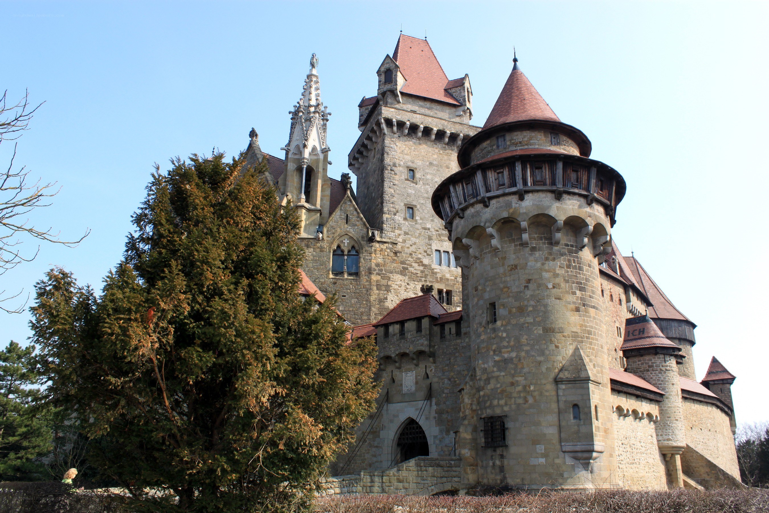 castle with red roofs