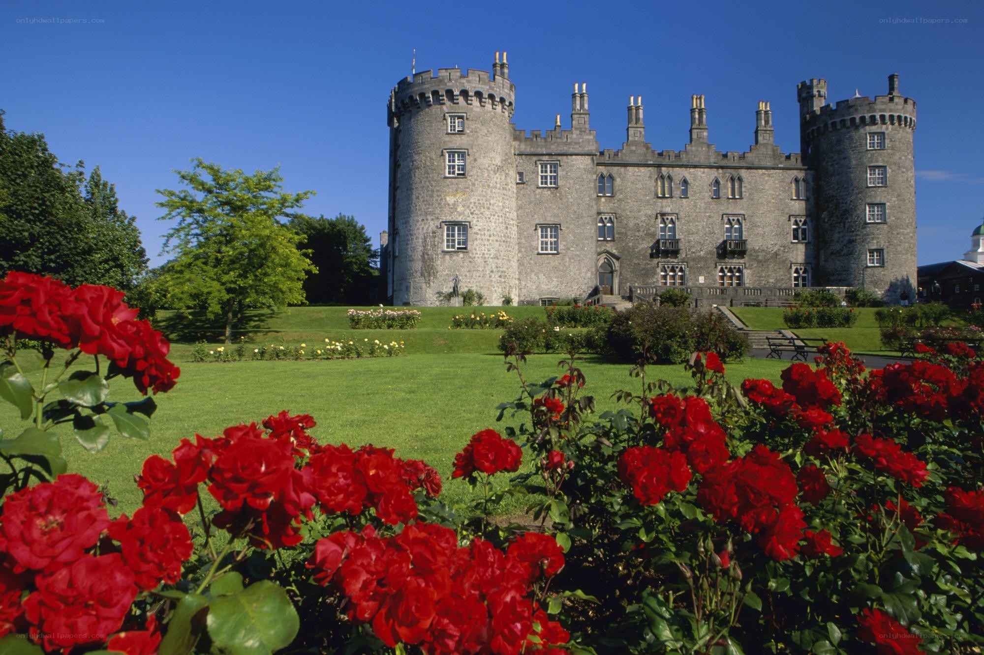 Castle with red roses in foreground