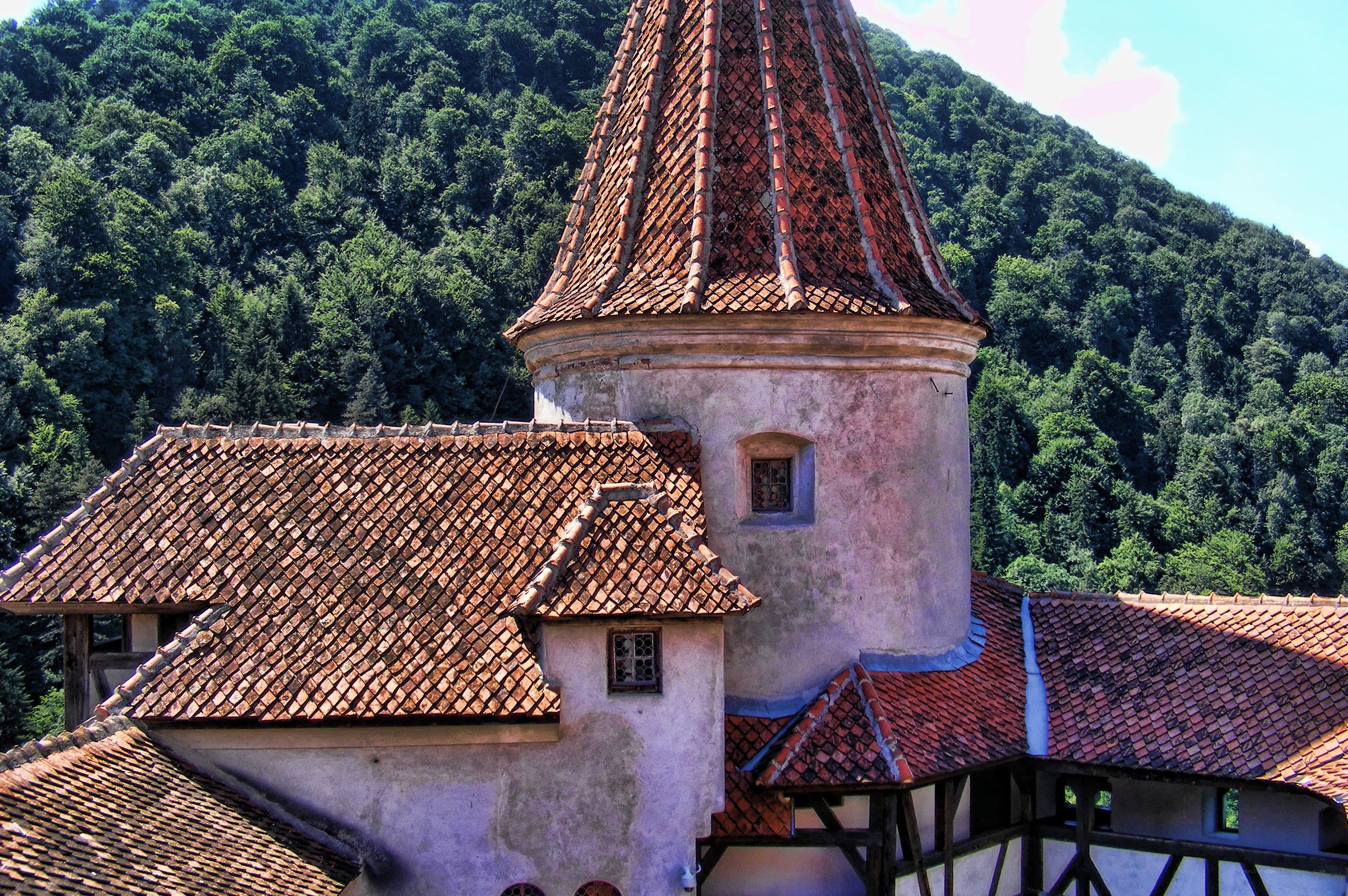 castle with red-tiled roofs