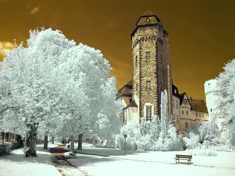 Castle with Snow-covered Trees