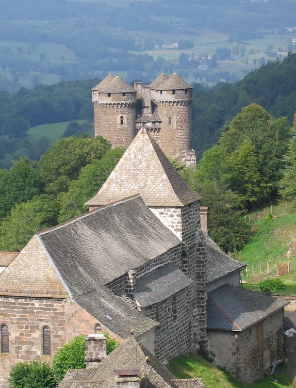 castle with towers in a valley