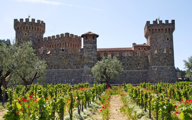 Castle with Vineyard