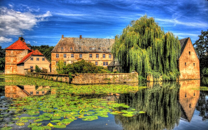 Castle with Weeping Willow