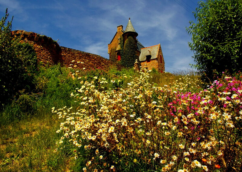 Castle with Wildflowers