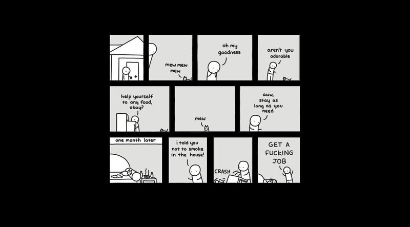 cat adoption comic