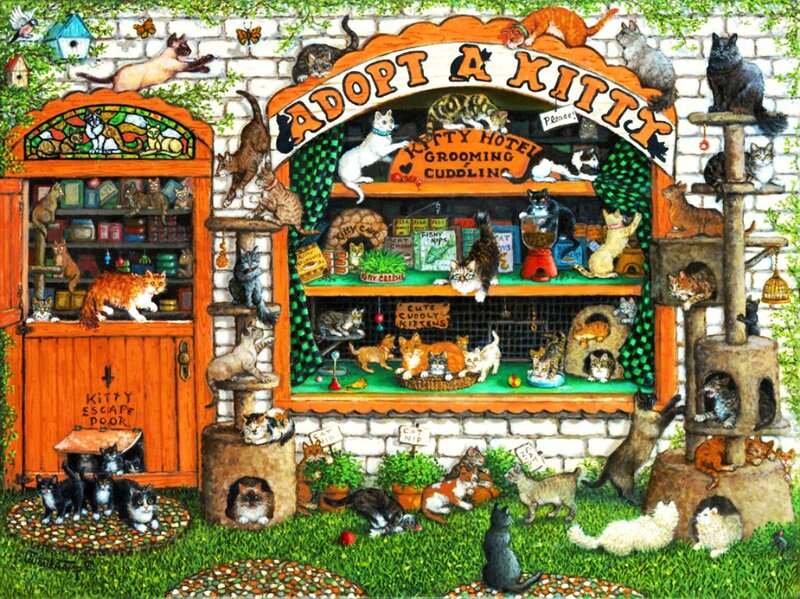 Cat Adoption Shop