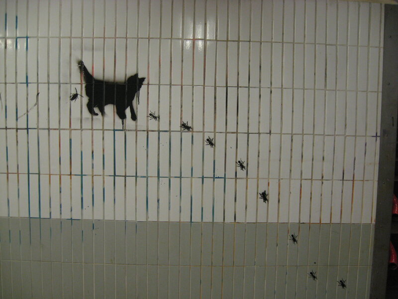 cat and ants on tiled wall